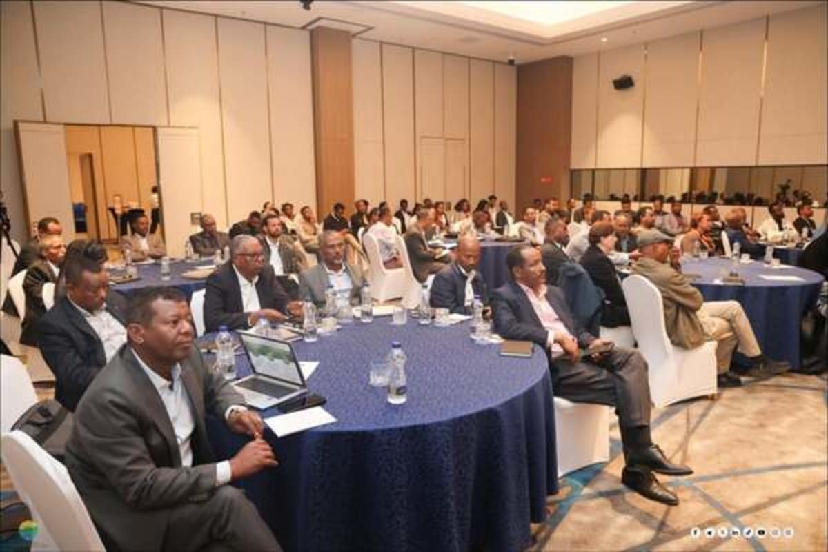 Ethiopia Explores Carbon Markets to Fund Climate Farming - Image 2