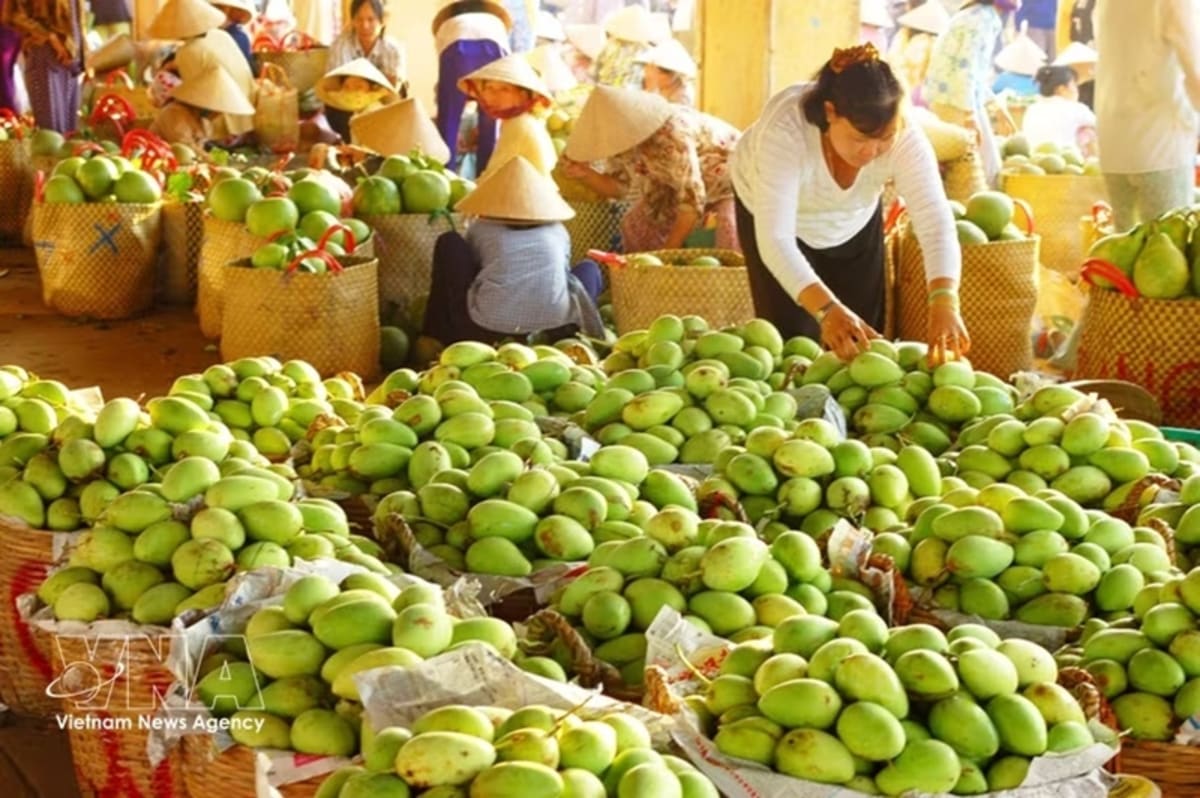 Vietnam's Trade Soars 28% as Economy Hits 8.2% Growth - Image 2