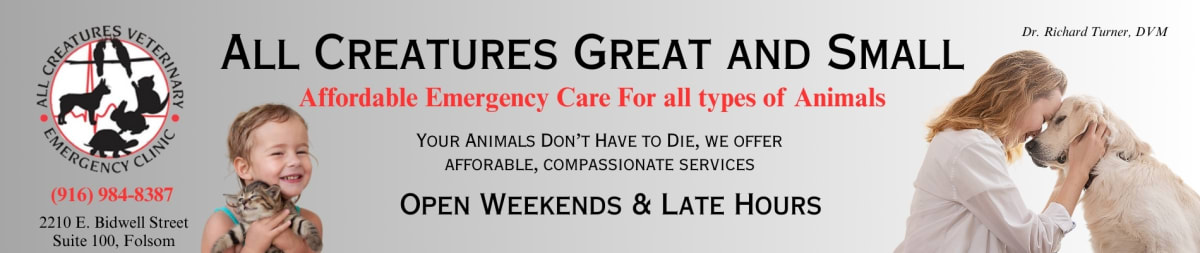 Folsom Volunteers Build Castle Park Playground in the Rain - Image 5