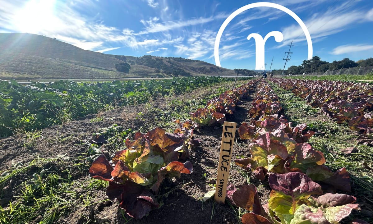 California Farm Tests Regenerative Model for State Economy