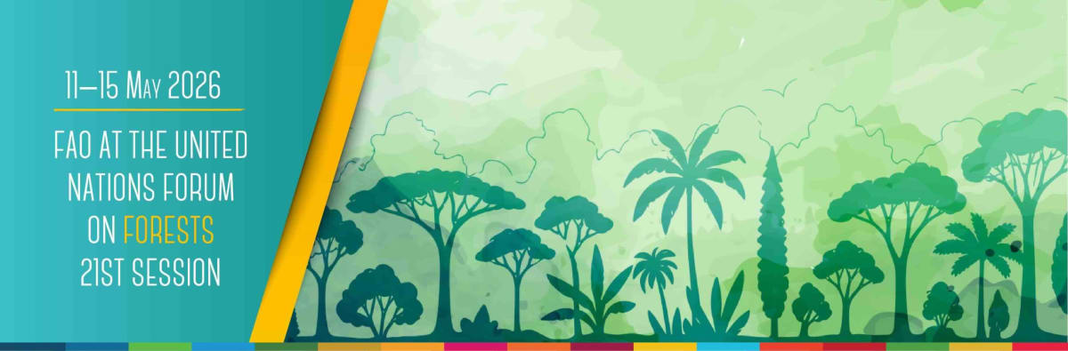 Indonesia Earns $216M for Proven Forest Protection Success - Image 4