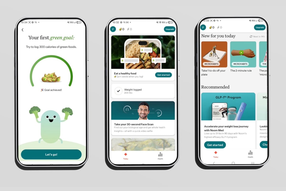 Scientists Find Oldest Whale Song From 1949 - Image 4