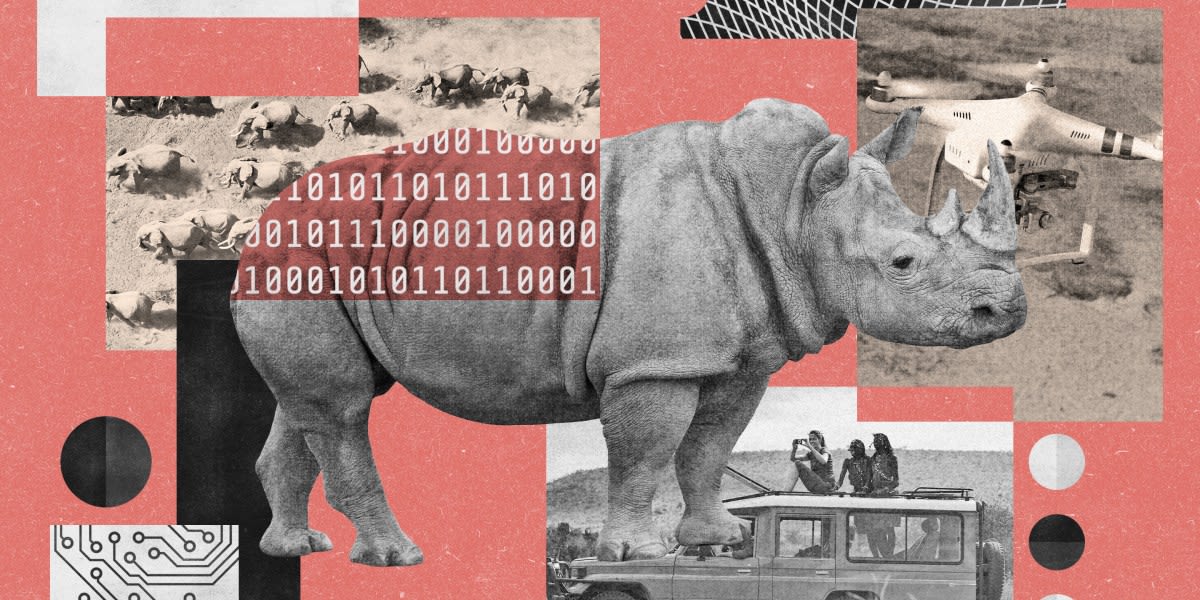AI Platform Saves Endangered Species Across 900 Sites Worldwide