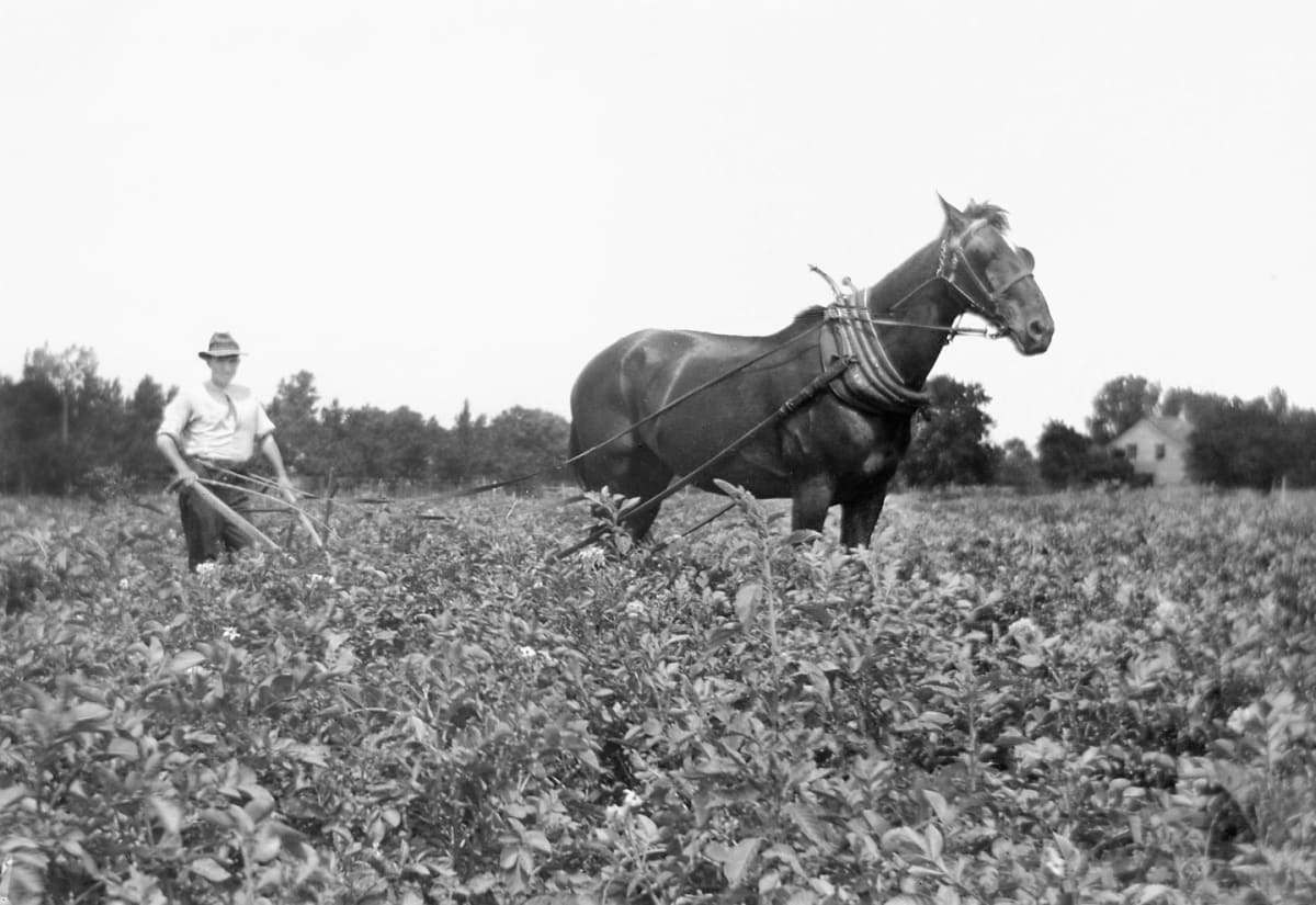 60% of Today's Jobs Didn't Exist in 1940, Says BofA - Image 3