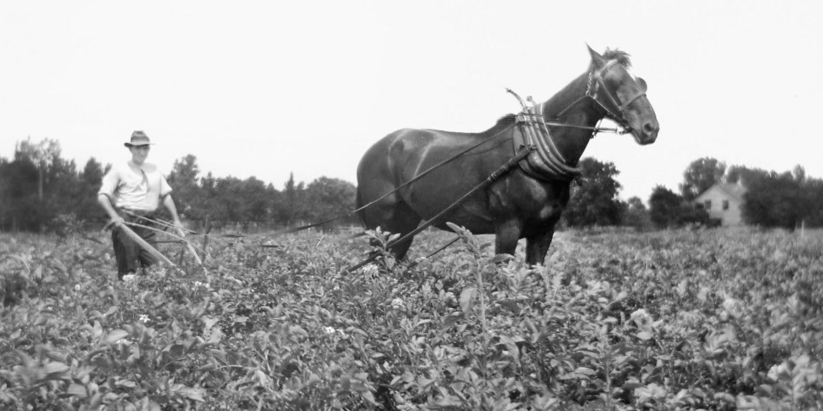 60% of Today's Jobs Didn't Exist in 1940, Says BofA