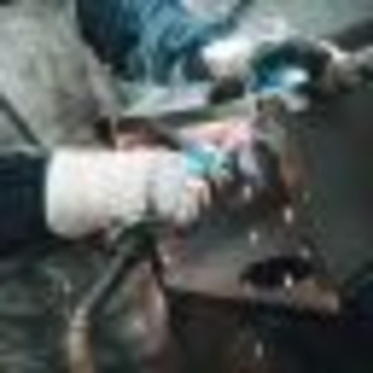 Paraguay Becomes Latin America's New Investment Hotspot - Image 2