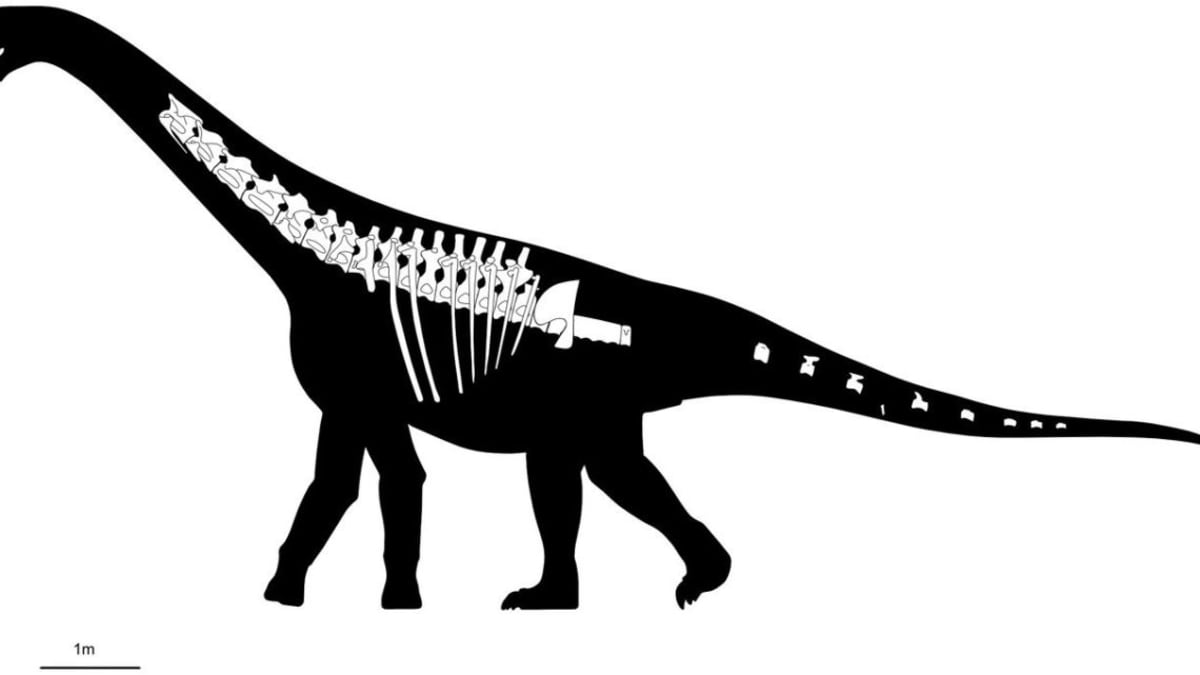 Artistic rendering of Bicharracosaurus dionidei, a long-necked sauropod dinosaur in Patagonian landscape