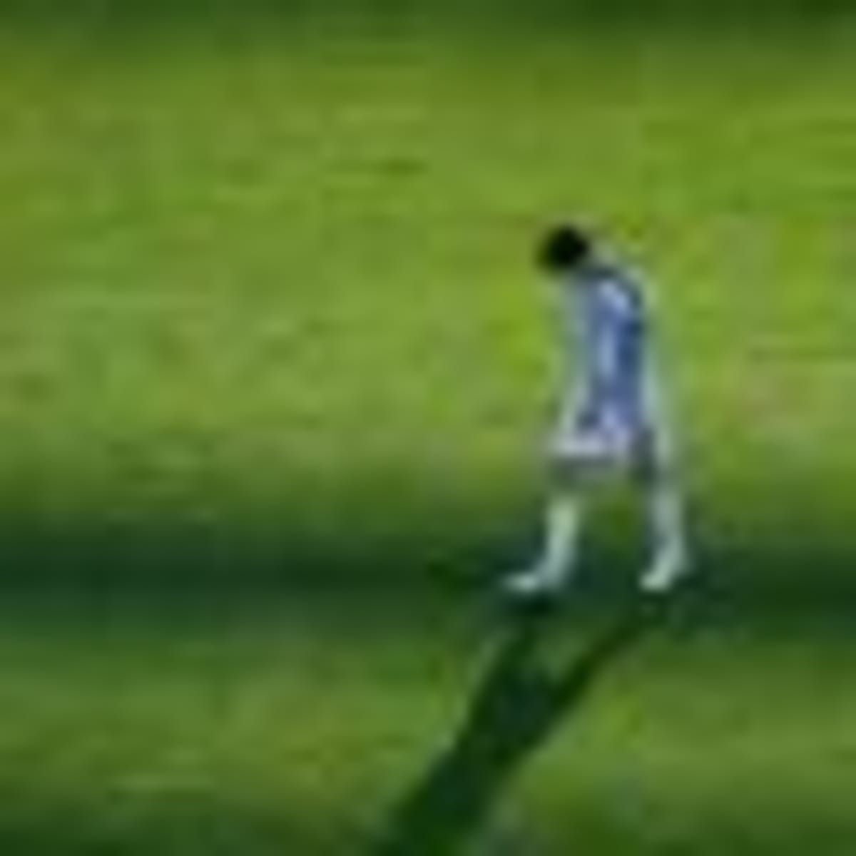Argentina Celebrates Team Despite World Cup Final Loss - Image 2
