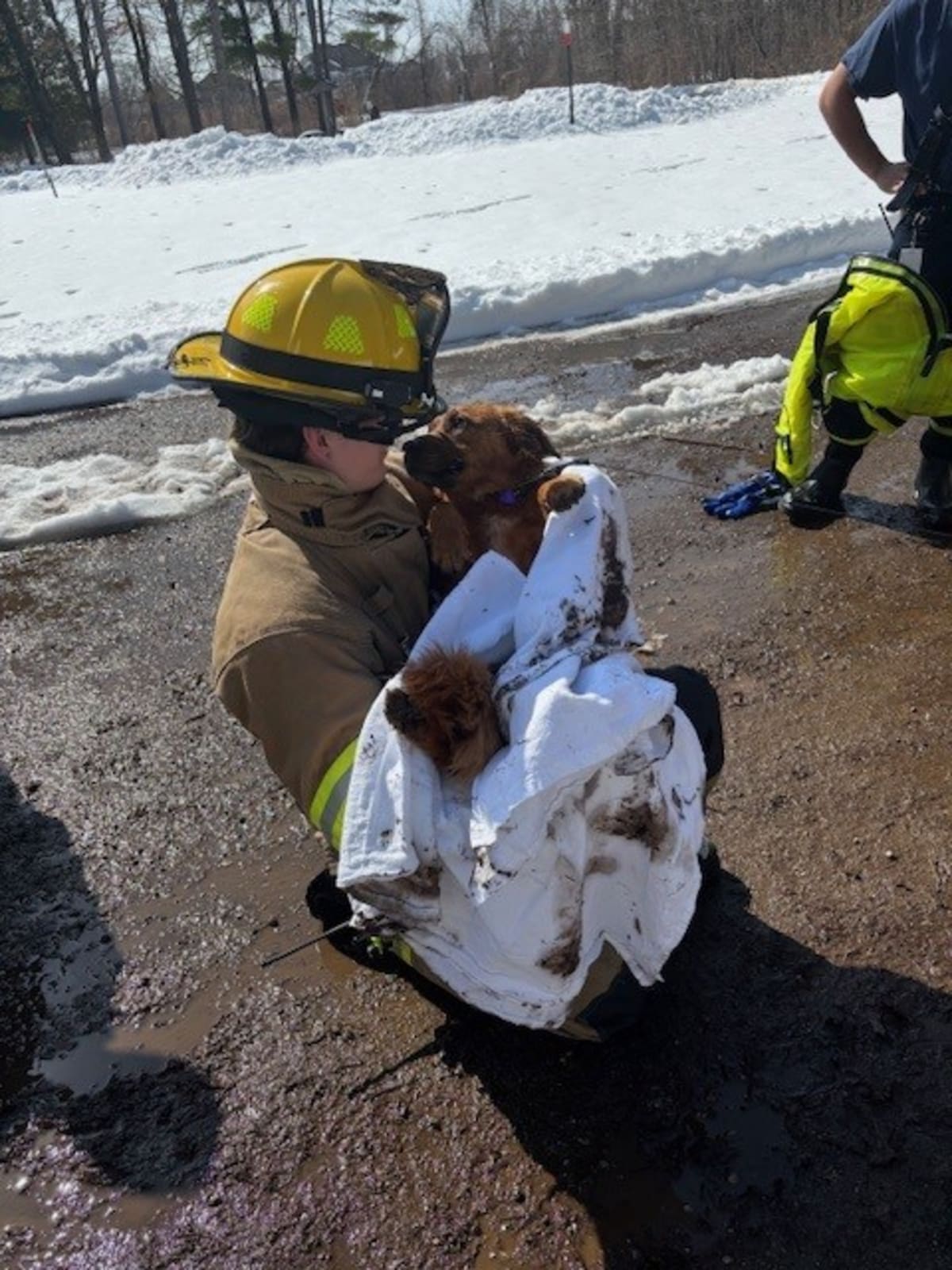 Firefighters Save Dog From Icy Green Bay Waters - Image 2