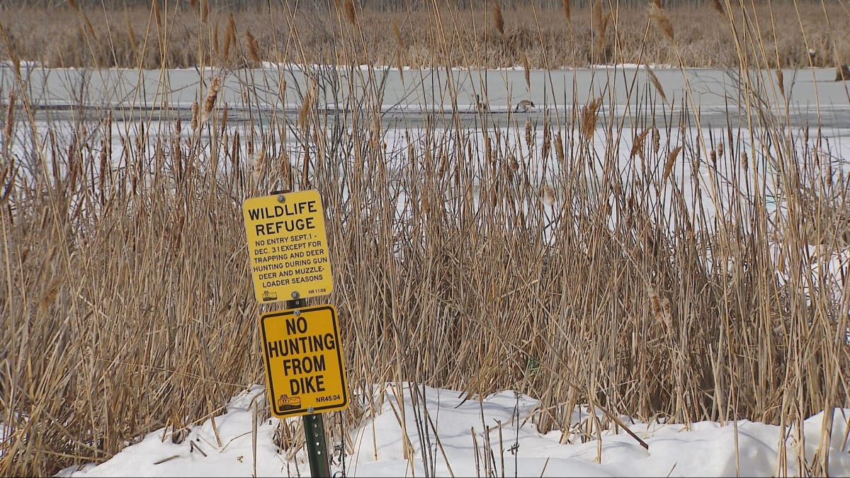 Firefighters Save Dog From Icy Green Bay Waters - Image 5