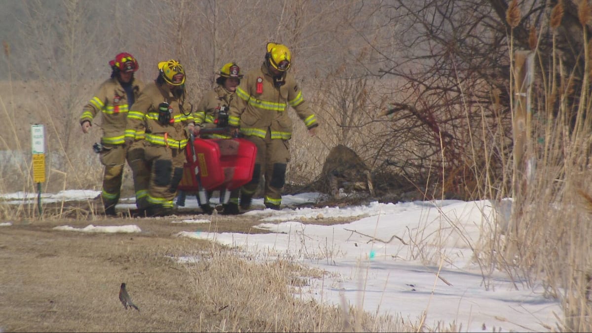 Firefighters Save Dog From Icy Green Bay Waters - Image 3
