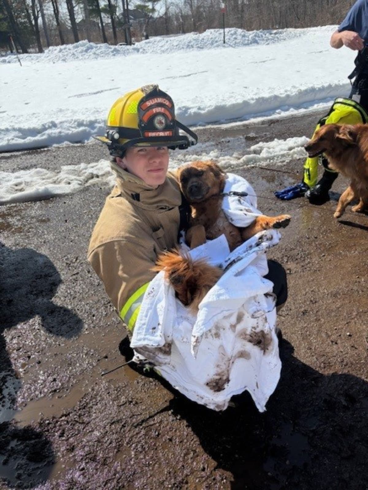 Firefighters Save Dog From Icy Green Bay Waters