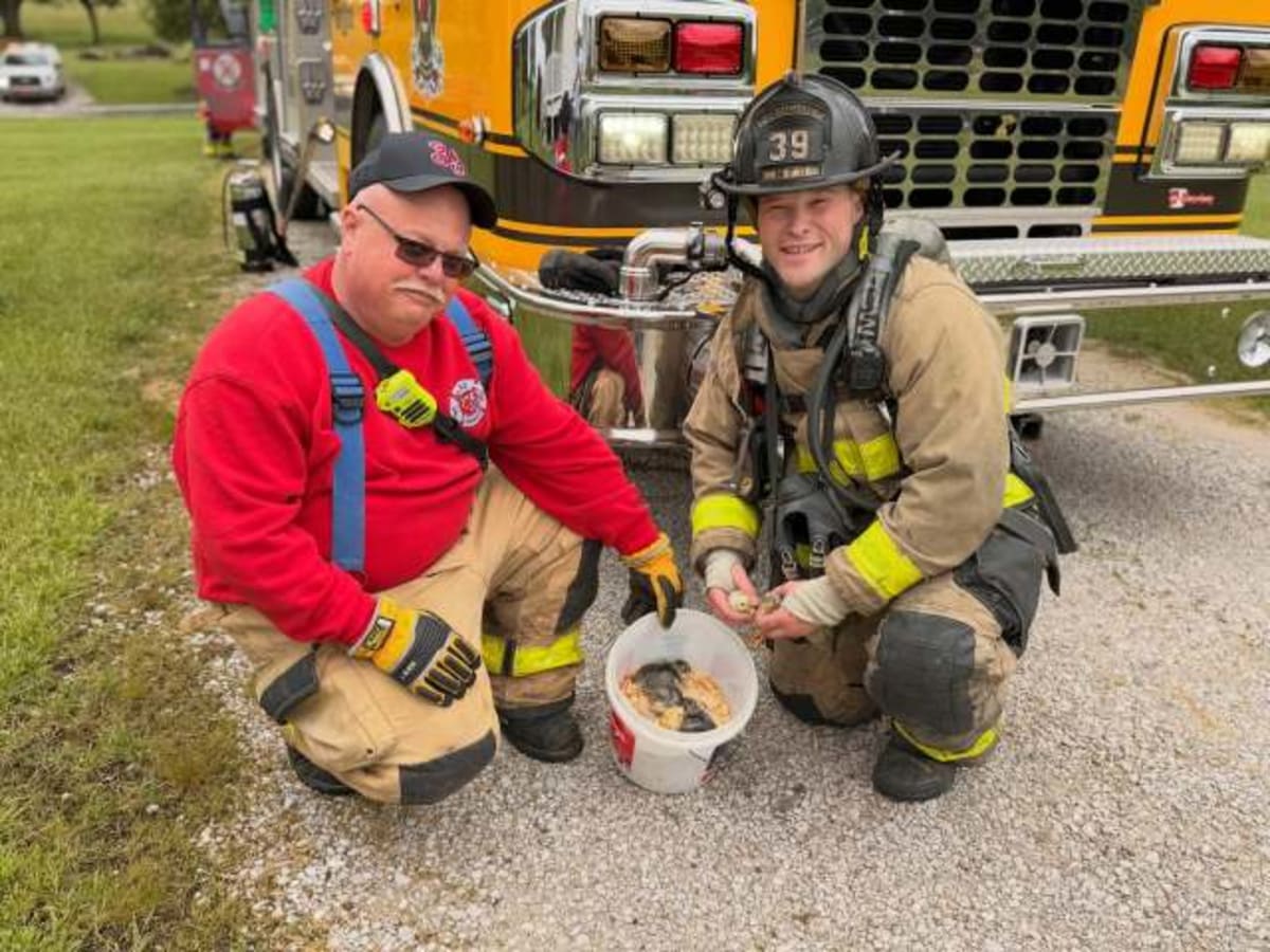 Firefighters Save Baby Chicks From Indiana House Fire - Image 2