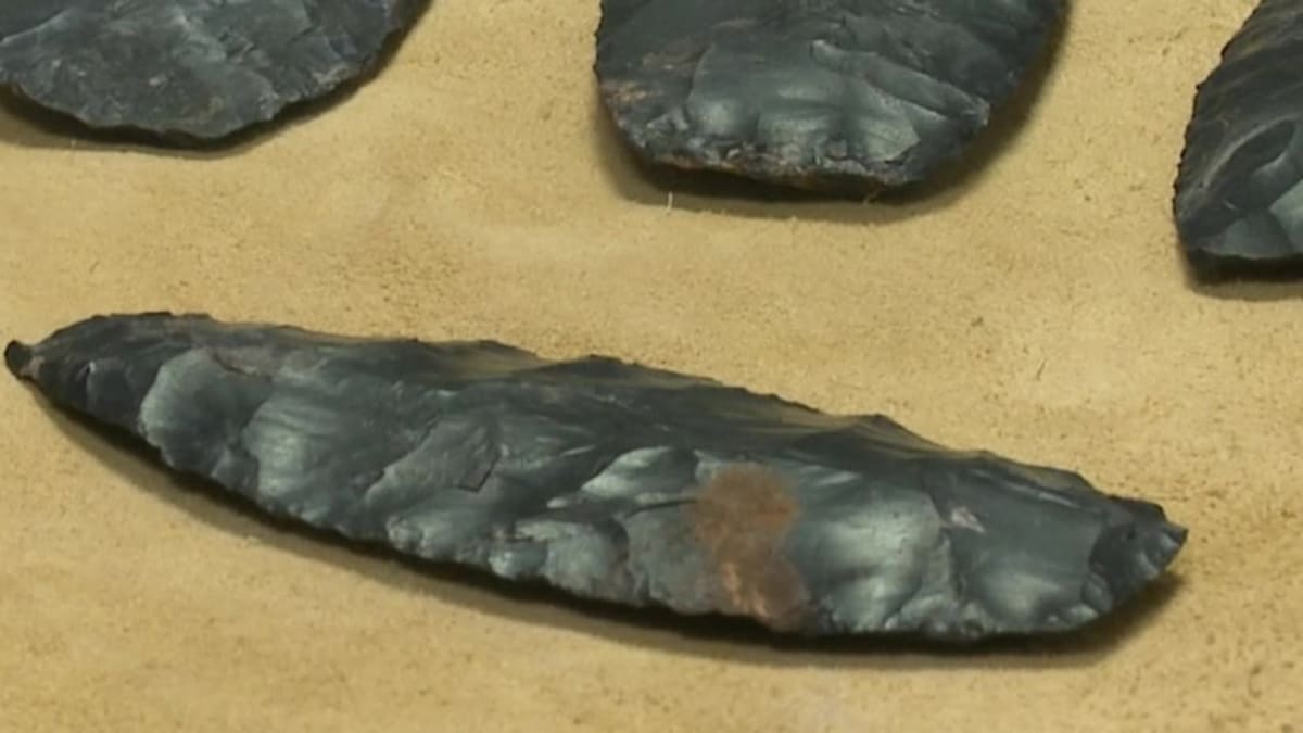 Ohio Teen's Golf Ball Hunt Uncovered 2,000-Year-Old Mystery - Image 3