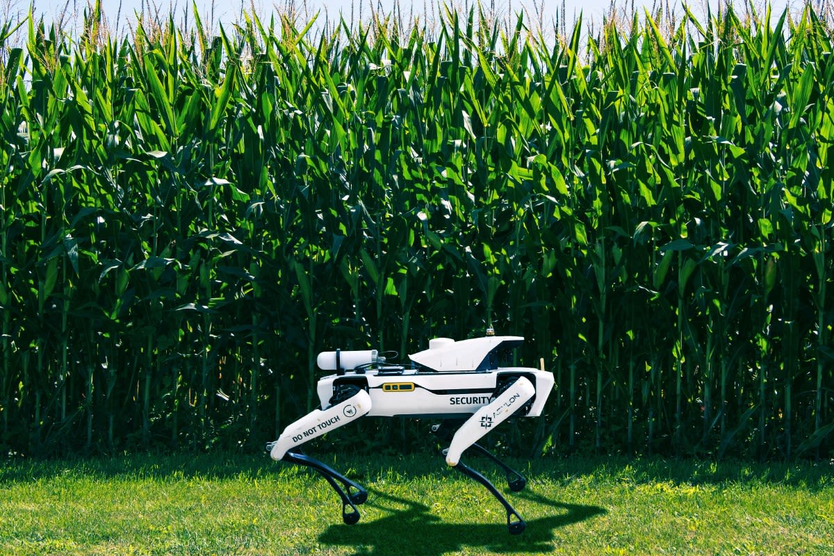 Bayer Uses Robot Dogs to Guard Hawaiian Corn Farm 24/7