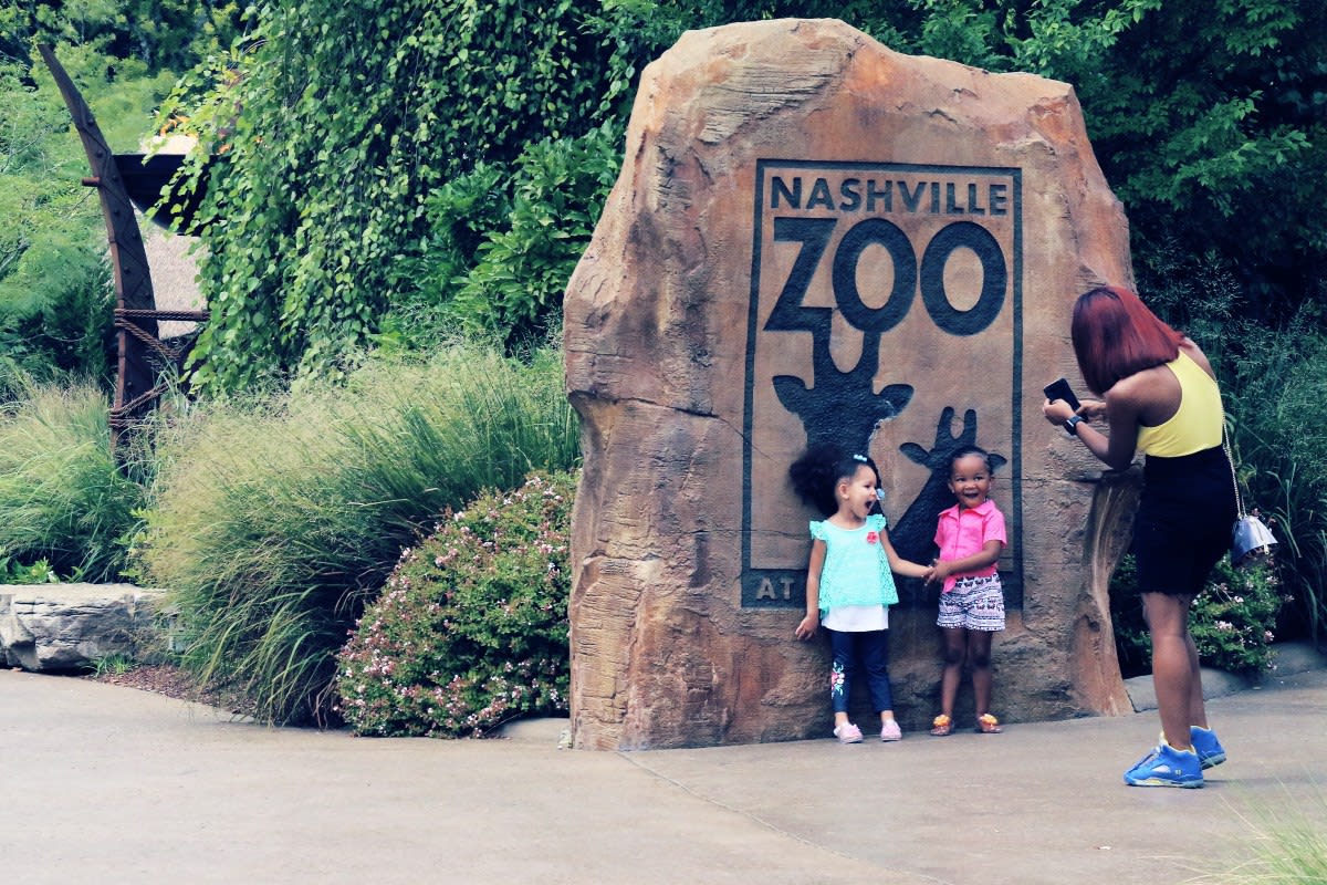 Nashville Zoo Fights Data Center to Protect Leopards