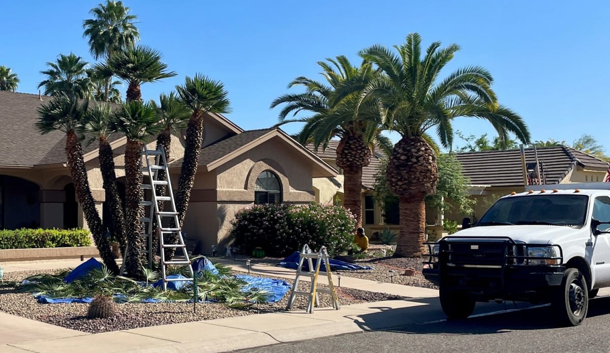 Sun City West Volunteers Revive Yard Help Program