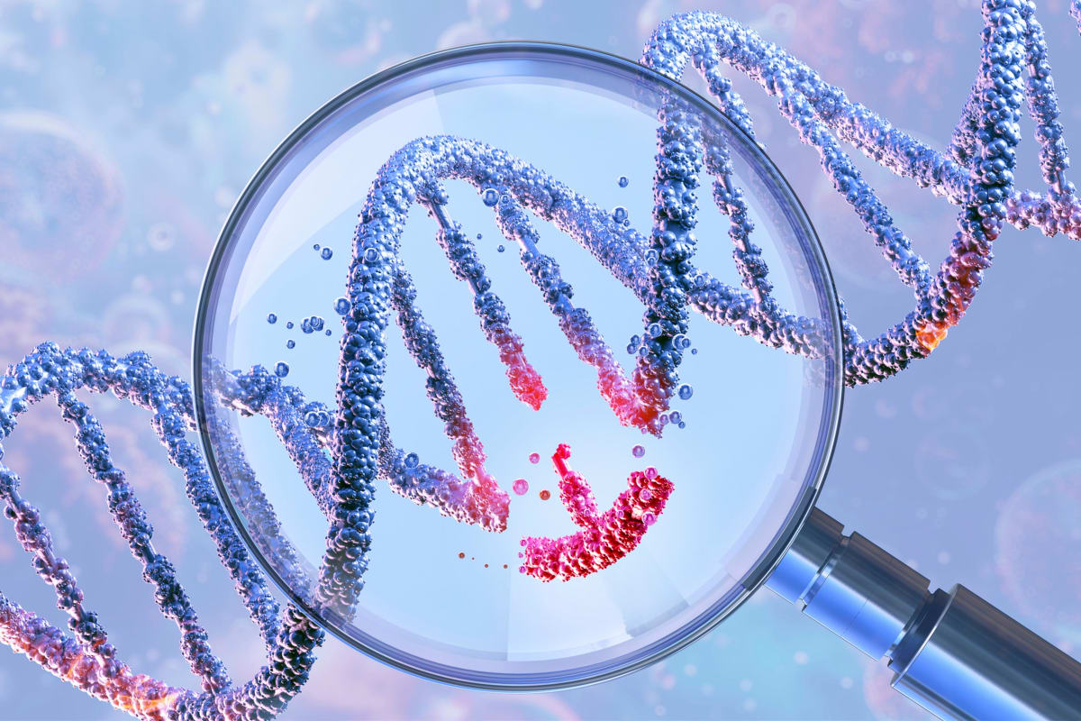 One Gene Edit Could Control Cholesterol for Life - Image 3