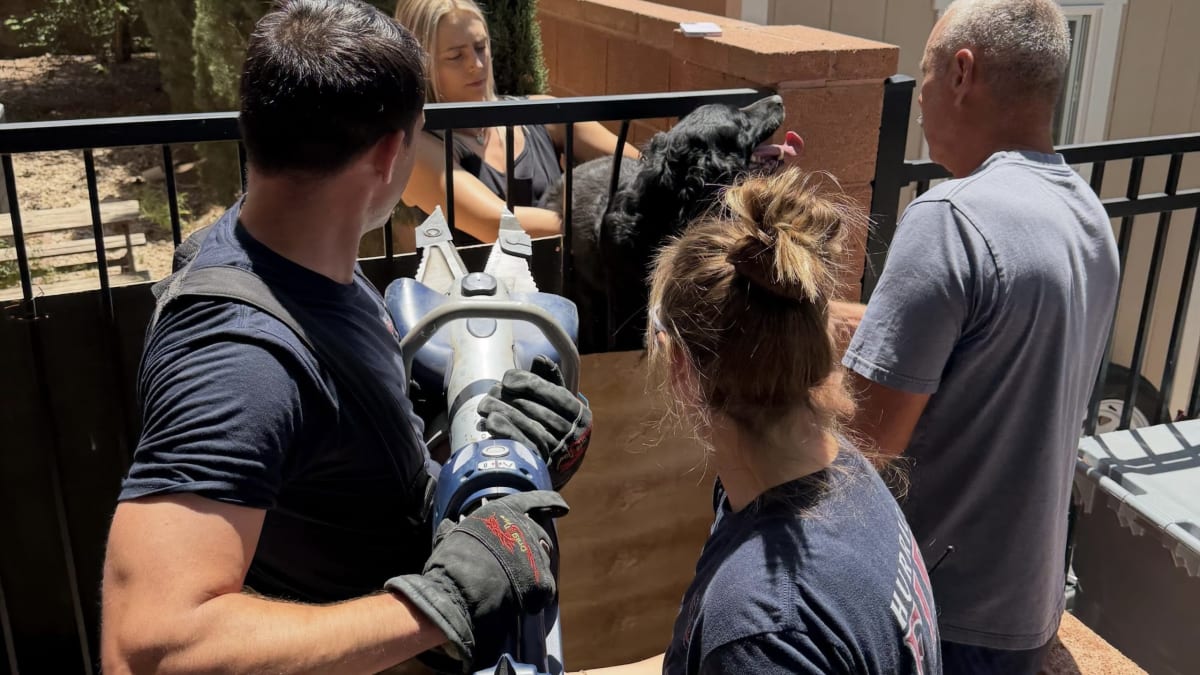 Firefighters in uniform carefully working to free a dog trapped in a residential fence