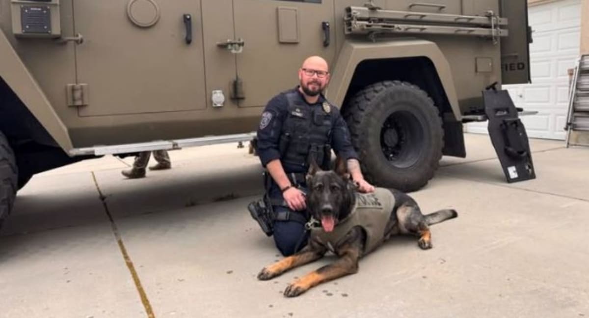 K-9 Odin Gets Lifesaving Vest From Nonprofit - Image 2