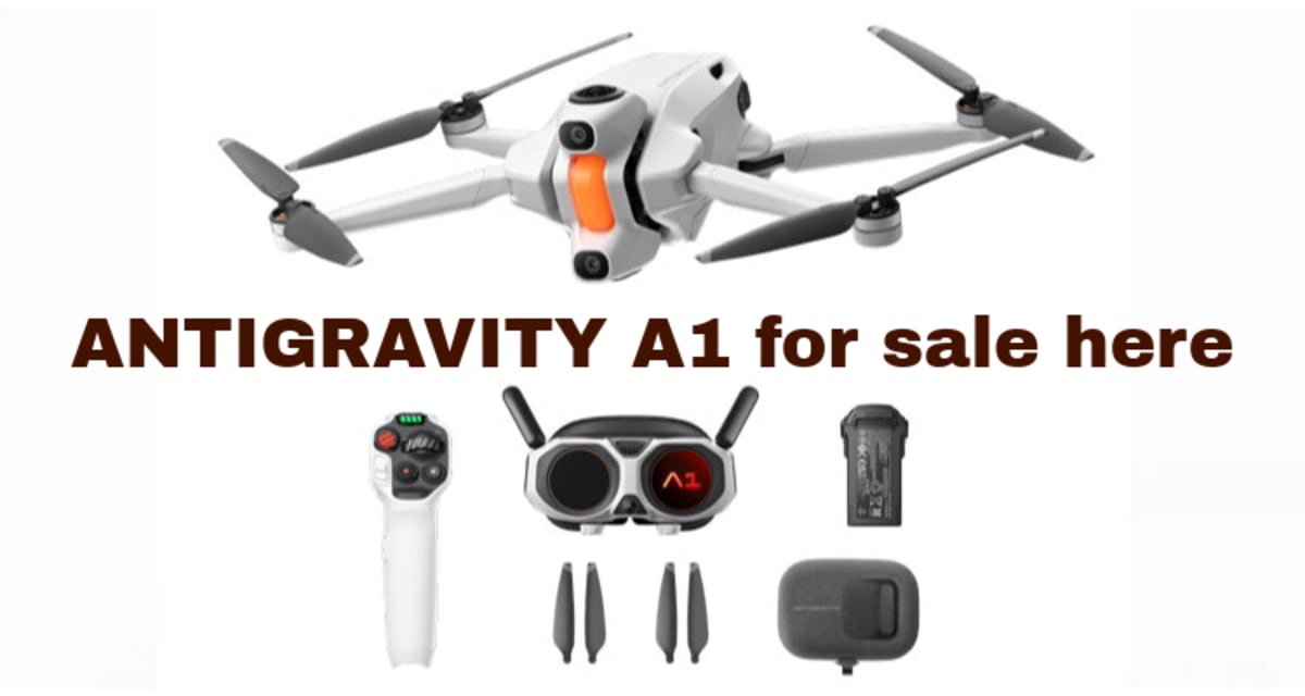 Mexican Wolves Return to Durango After 50 Years - Image 4