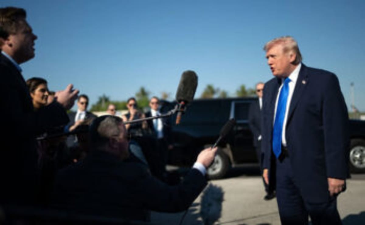 Mexican Wolves Return to Durango After 50 Years - Image 5