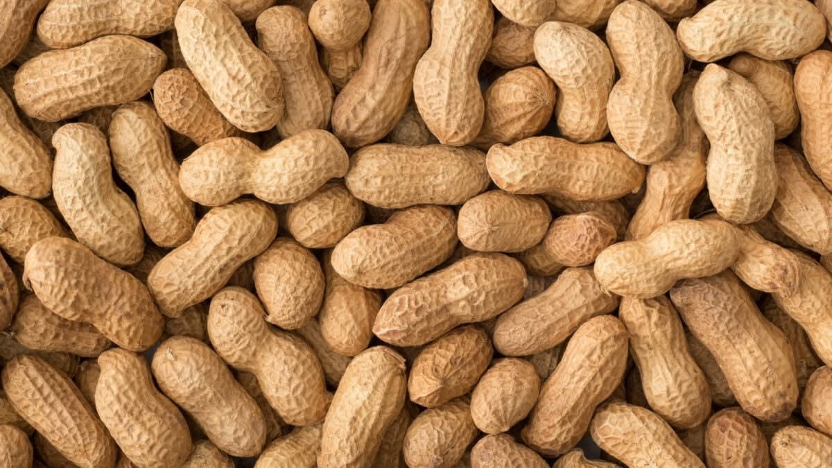 Human Saliva May Hold Key to Beating Peanut Allergies