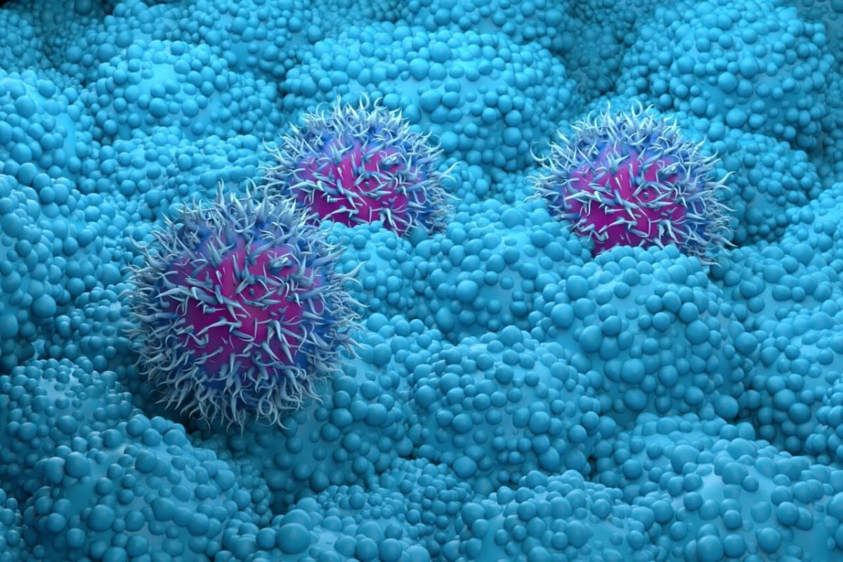 Eating Grapes for 2 Weeks Boosts Skin's UV Protection - Image 4