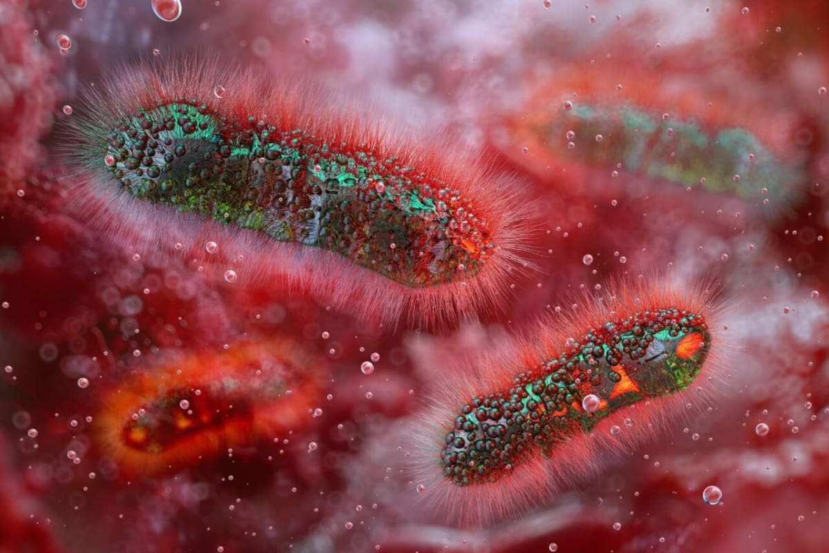 Norwegian Man Cured of HIV by Brother's Stem Cells - Image 2