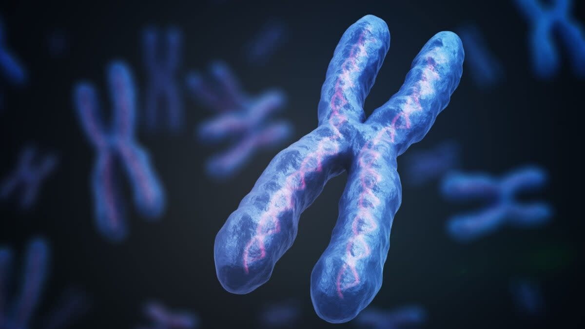 Scientists Silence Extra Chromosome in Down Syndrome Cells