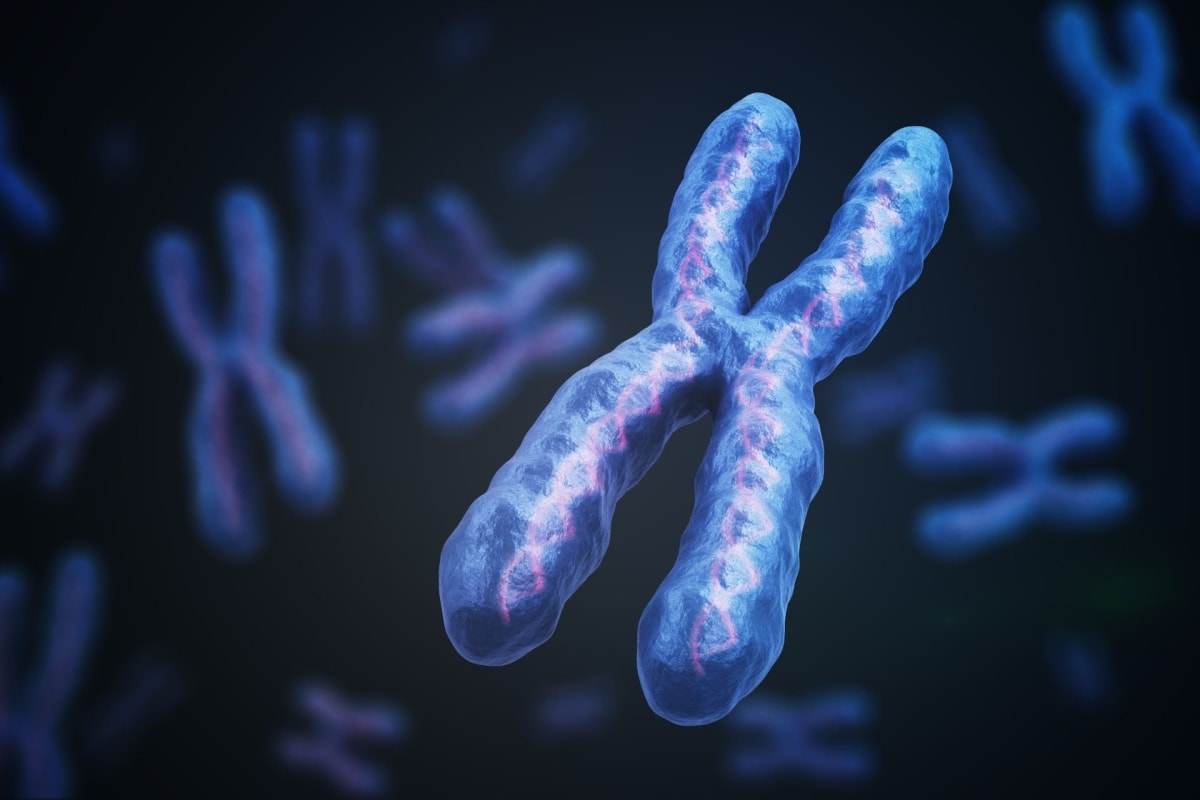 Scientists Silence Extra Chromosome in Down Syndrome Cells - Image 2