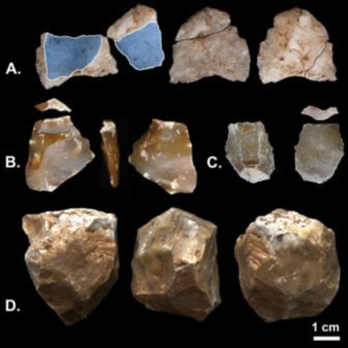 Ancient Humans Had Flexible Meat Strategy 1.6M Years Ago - Image 4