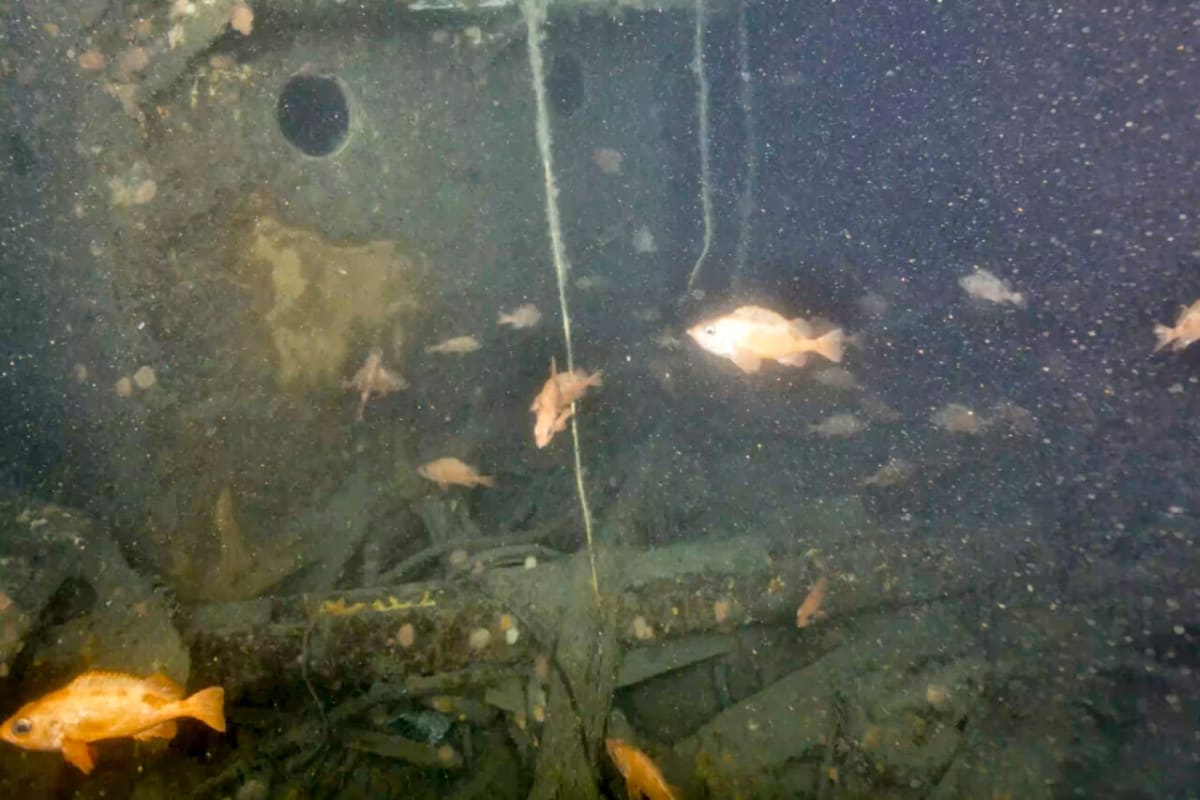 Antarctica's Blood Falls Reveals Ancient Ocean Trapped in Ice - Image 5