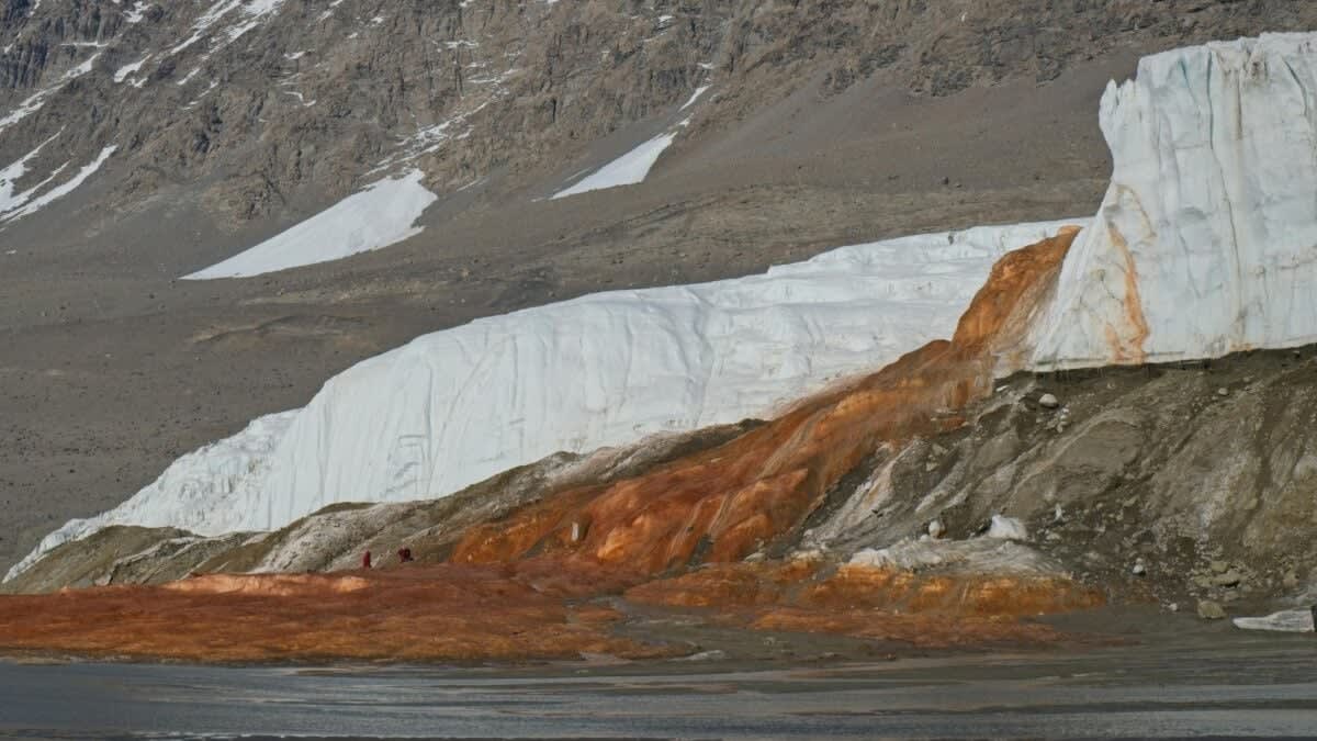 Crimson red water flowing from Antarctica's Blood Falls waterfall at Taylor Glacier terminus