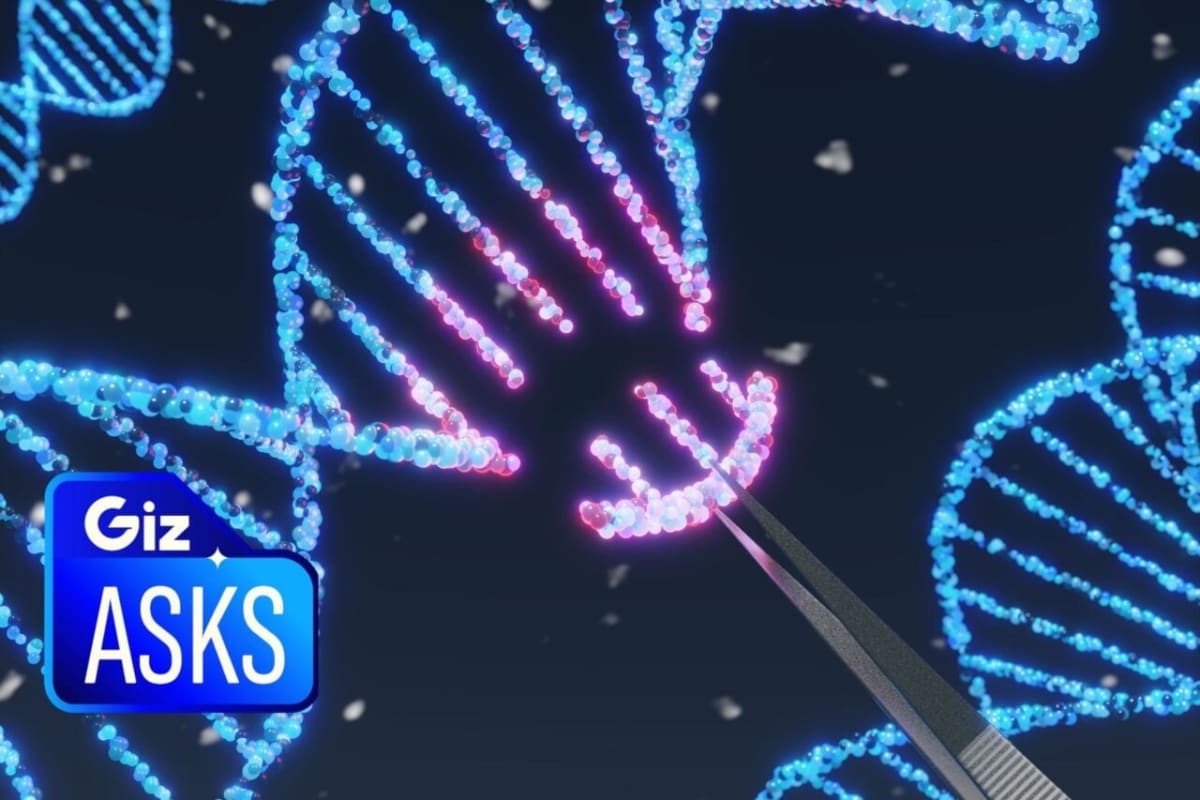 Exercise Pill Passes First Human Safety Test - Image 4