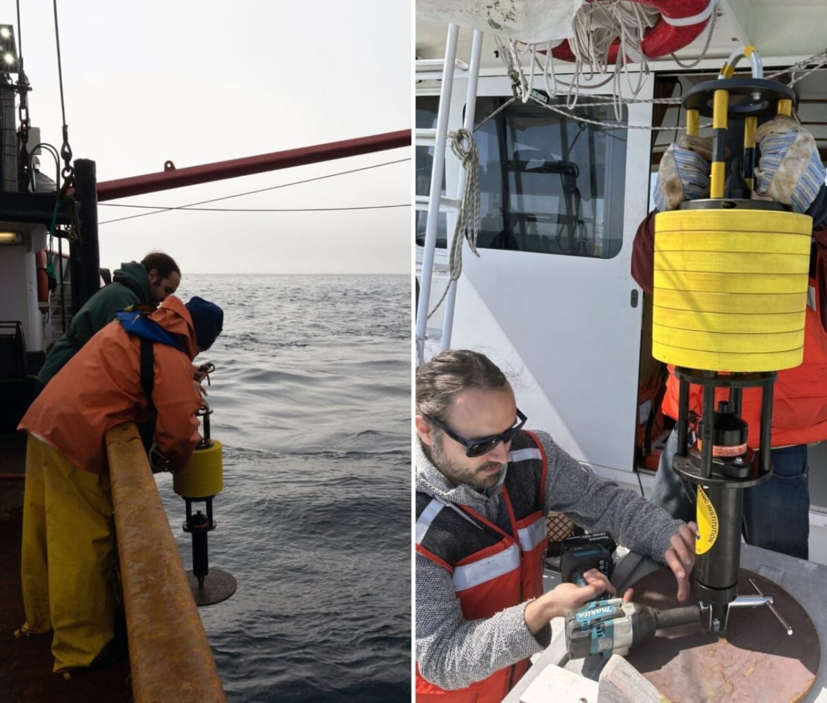 Whale Calls Reveal Einstein's Relativity in Action - Image 4