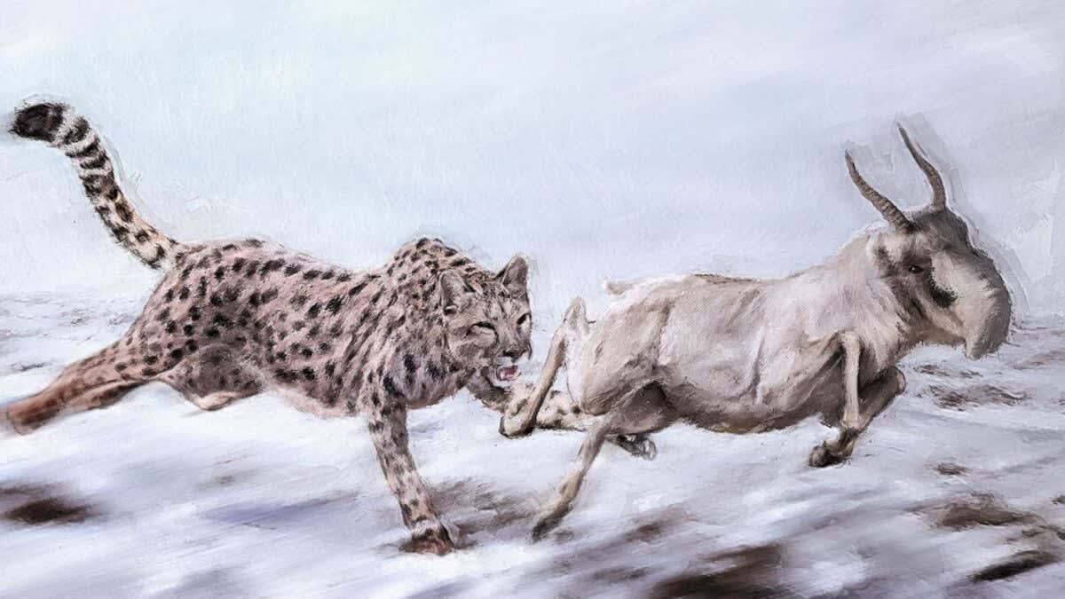 Artist rendering of extinct Miracinonyx trumani big cat catching fish in Arctic waters