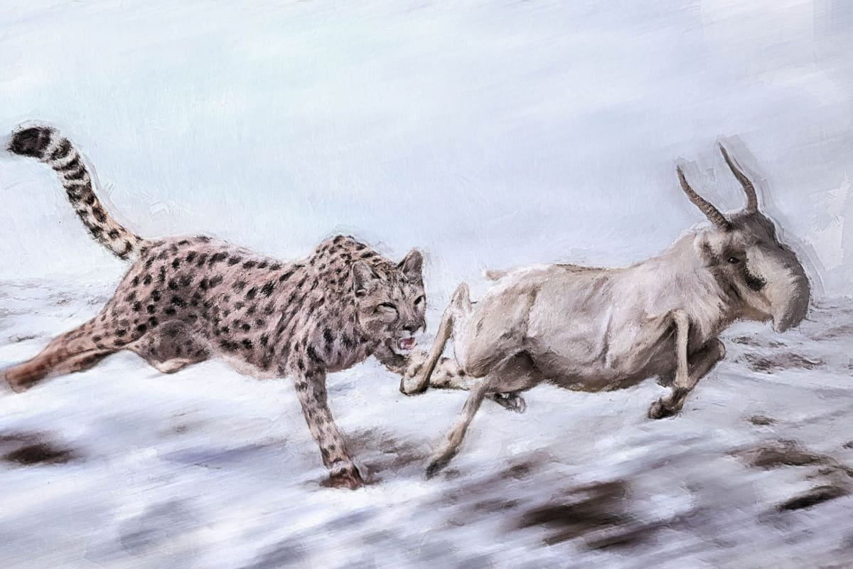Ancient 'American Cheetah' Was Actually a Fish-Eating Puma - Image 2