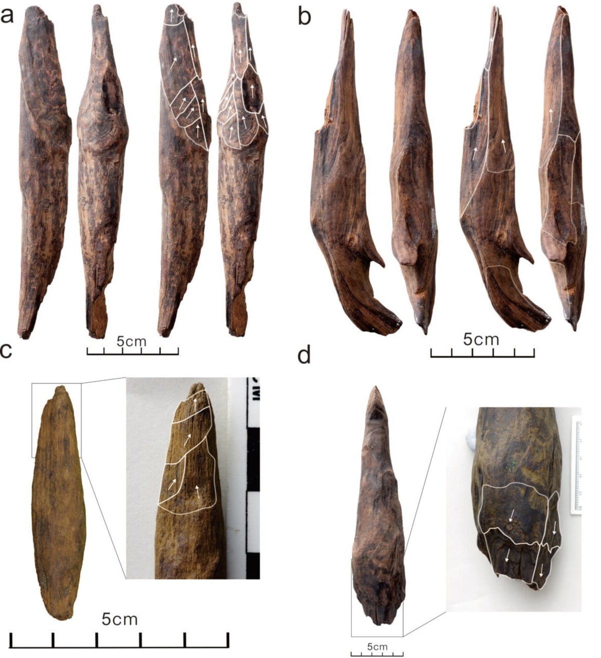 China Cave Reveals 120,000 Years of Denisovan Life - Image 4