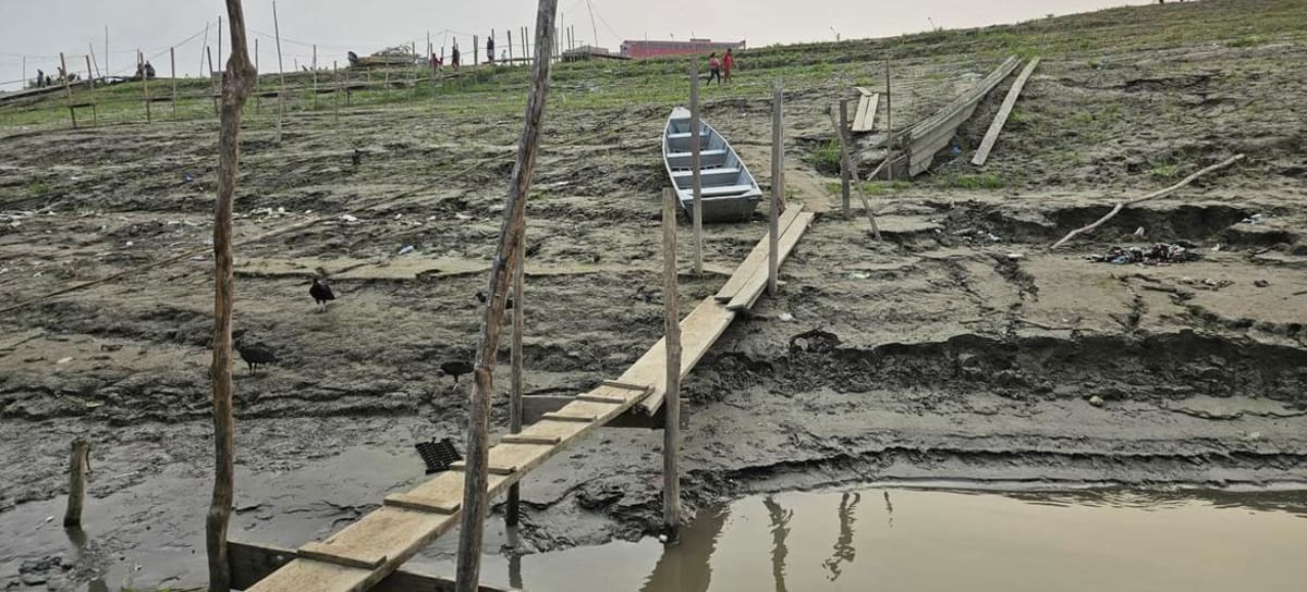 Brazil's Indigenous Youth Fight Climate Change with Art - Image 2