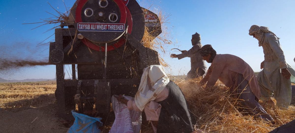 UN Renews Fight for Global Development as Human Right - Image 4