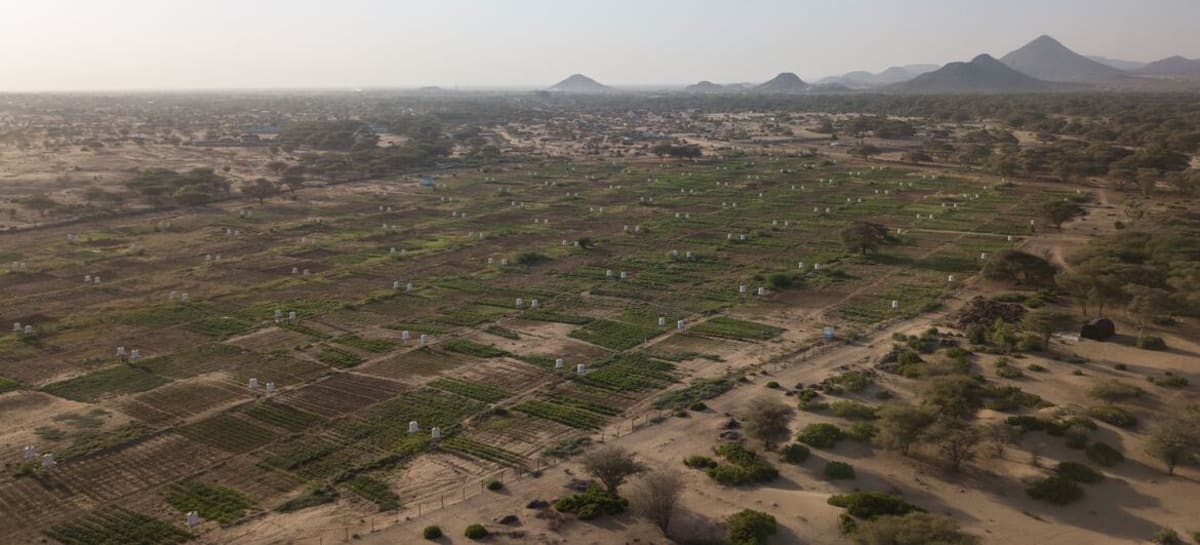 Three Nations Restore Grasslands Feeding 2 Billion People - Image 4