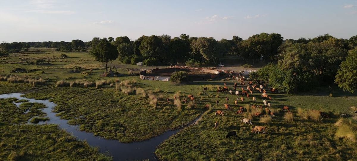 Three Nations Restore Grasslands Feeding 2 Billion People - Image 3