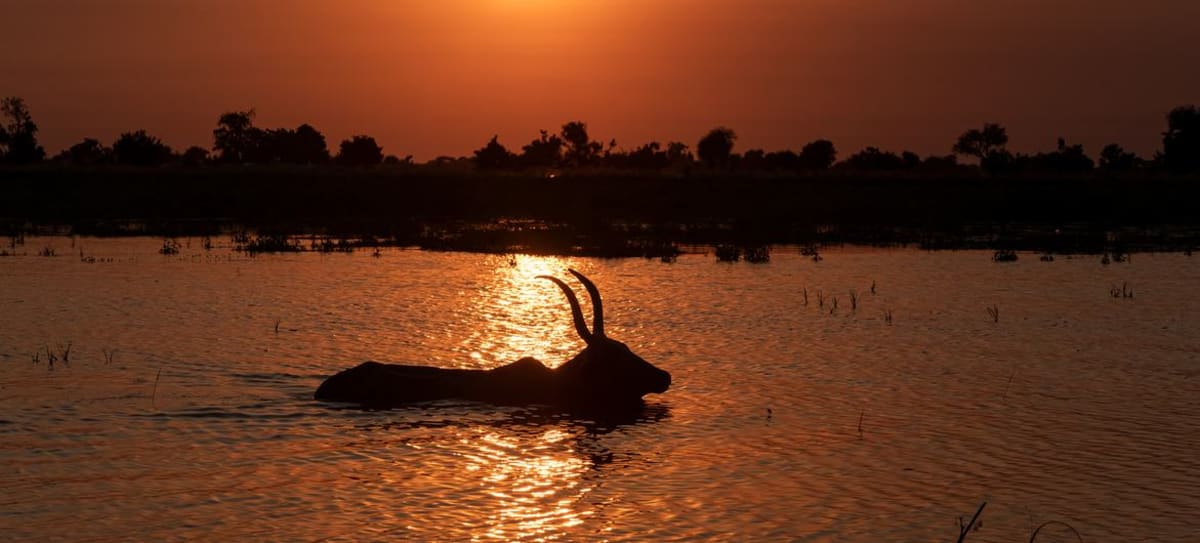 New Reservoir Unites Warring Communities in South Sudan - Image 2