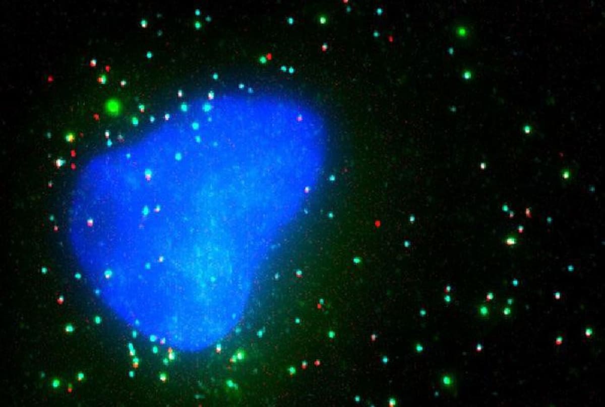 New mRNA Tweak Could Make Future Vaccines More Powerful
