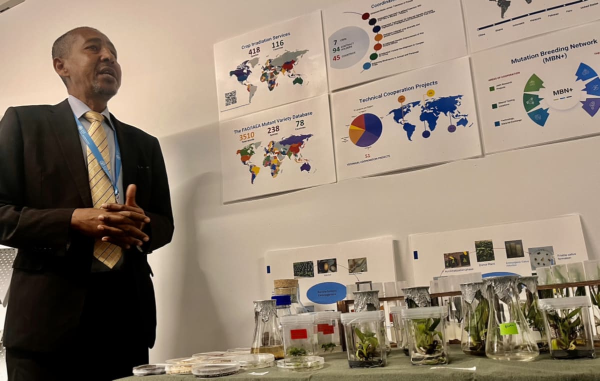Ghana Gets Free Crop Tech to Fight Drought and Disease
