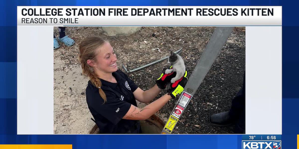 Texas Firefighters Save Kitten Trapped in Storm Drain