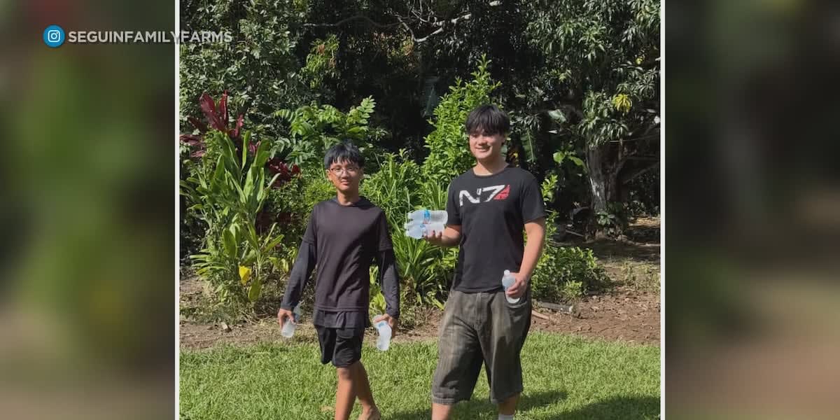 Hawaii Farm Gets Community Lifeline After Third Flood