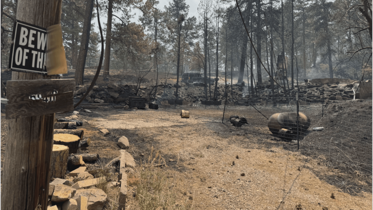 Colorado Communities Unite After Aspen Acres Fire - Image 4