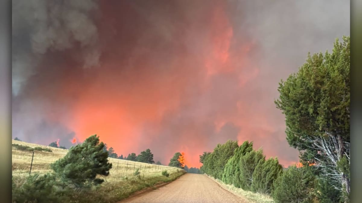Colorado Communities Unite After Aspen Acres Fire - Image 2